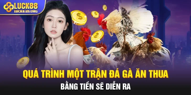 Quá trình một trận đá gà ăn thua bằng tiền sẽ diễn ra 