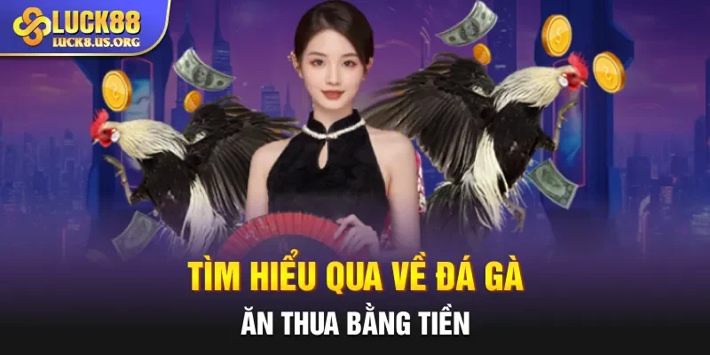 Tìm hiểu qua về đá gà ăn thua bằng tiền 